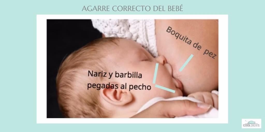 Agarre correcto del bebé en la lactancia materna