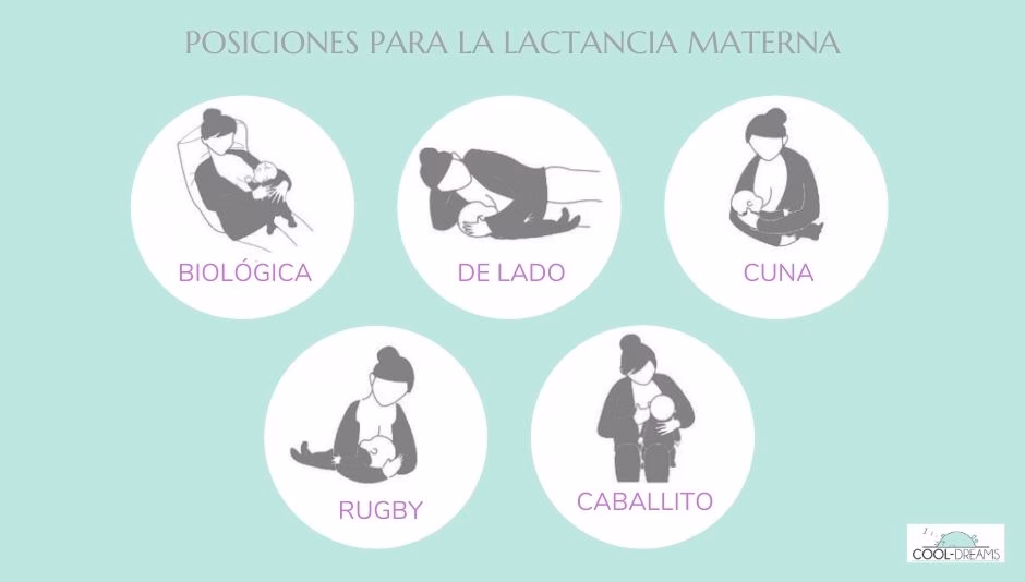 Posiciones para la lactancia materna