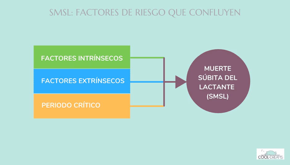 Factores que confluyen en la muerte súbita del bebé
