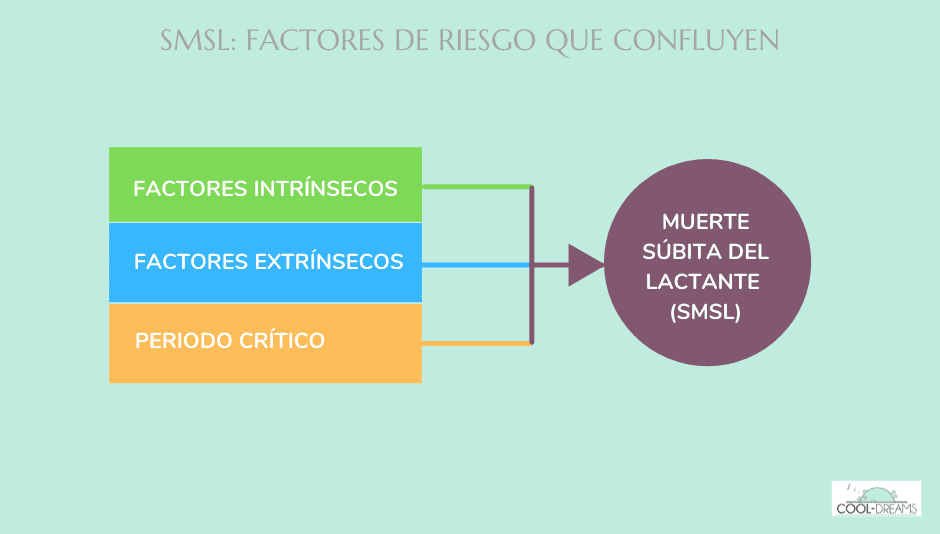 Muerte súbita bebé: factores que confluyen