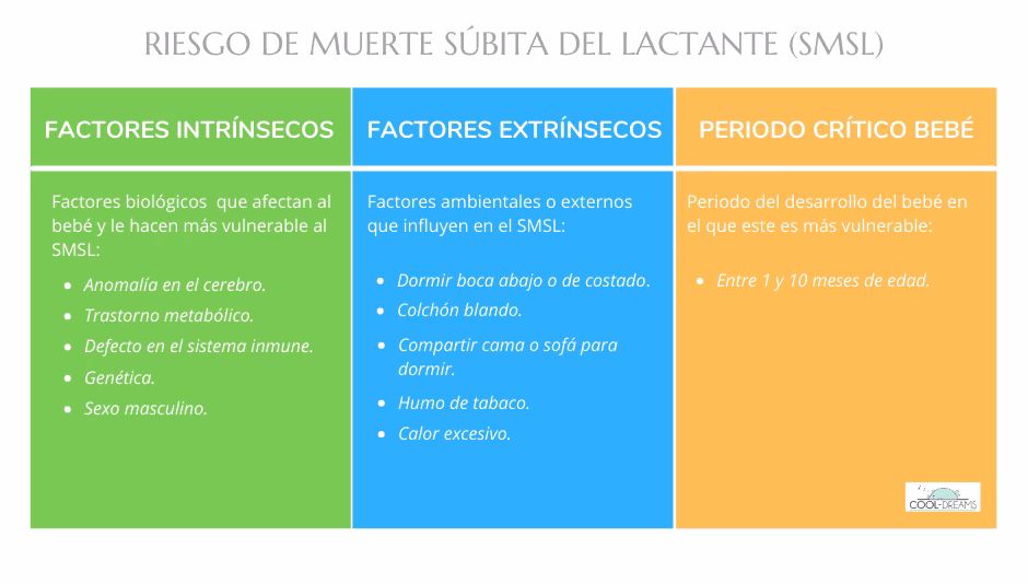 Factores intrínsecos y extrínsecos de la muerte súbita del bebé