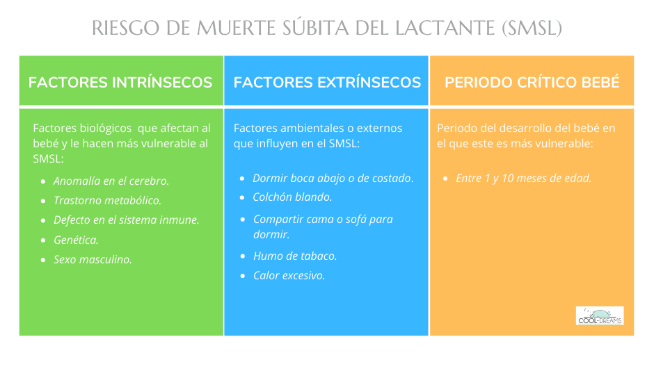 Muerte súbita bebé: factores intrínsecos y extrínsecos