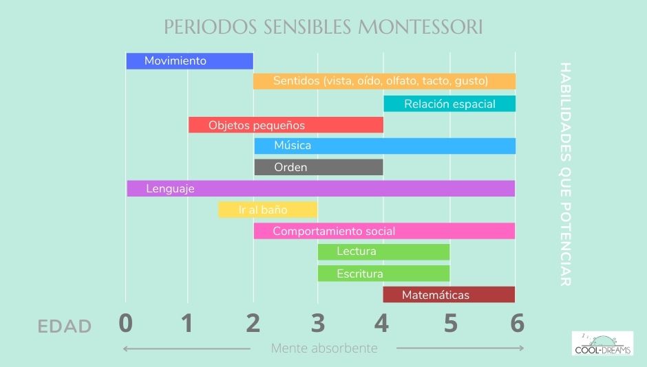 Método Montessori. periodos sensibles