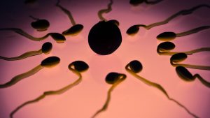 Días más fértiles para quedarte embarazada-Cool Dreams blog