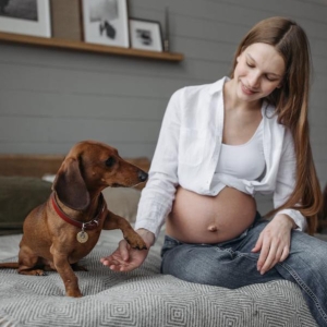 entrenamiento de perros con embarazadas CoolDreams