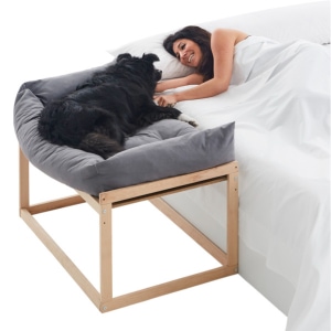 Perro duerme con dueña en cama elevada para perros de Cool Dreams