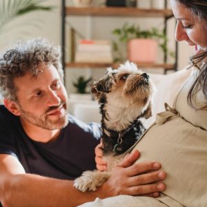 Perro con embarazada que presenta a futuro bebé