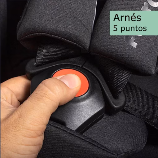 Arnés 5 puntos de silla coche Abita Fairgo en tienda Cool Dreams