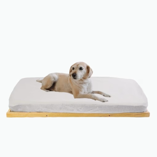 cama mascotas throne