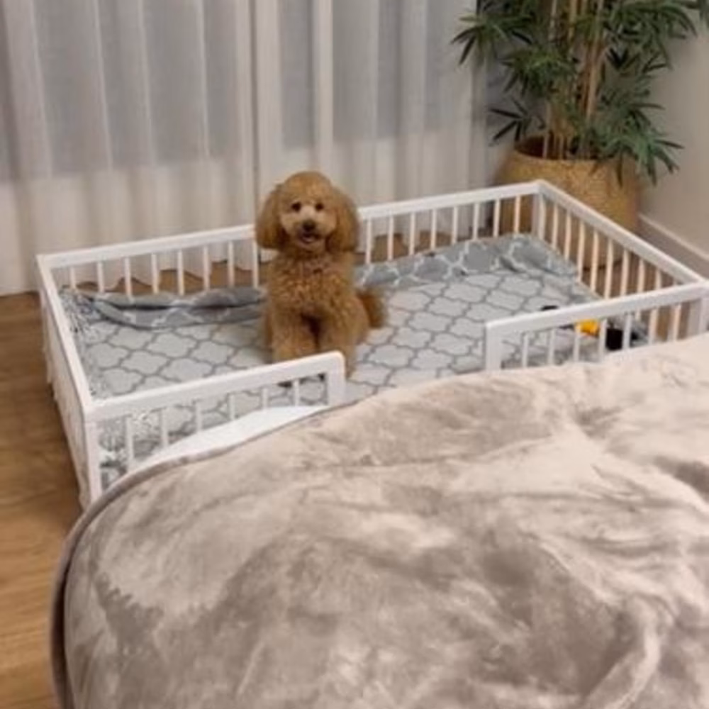 Cama sofá para perros grandes WonderWoof, elevada hecha de madera de haya