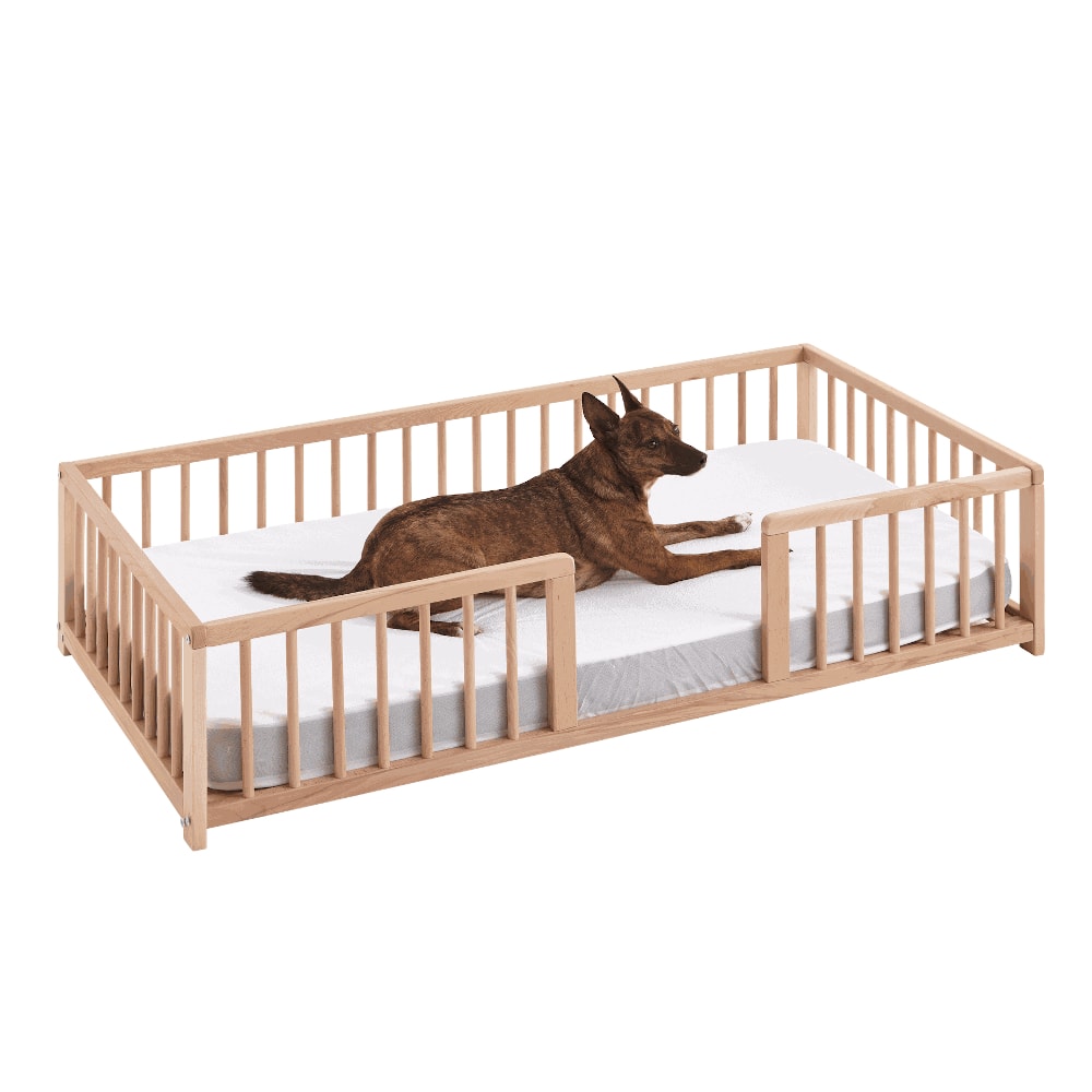 wonderwoof nature mascota