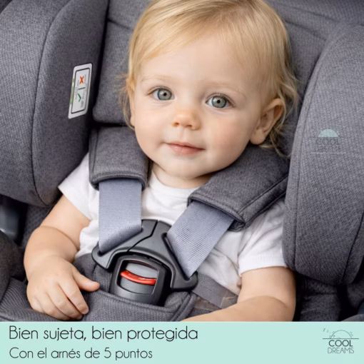 Silla coche isize Stanford CozynSafe arnes silla coche isize stanford cozy n safe arnes